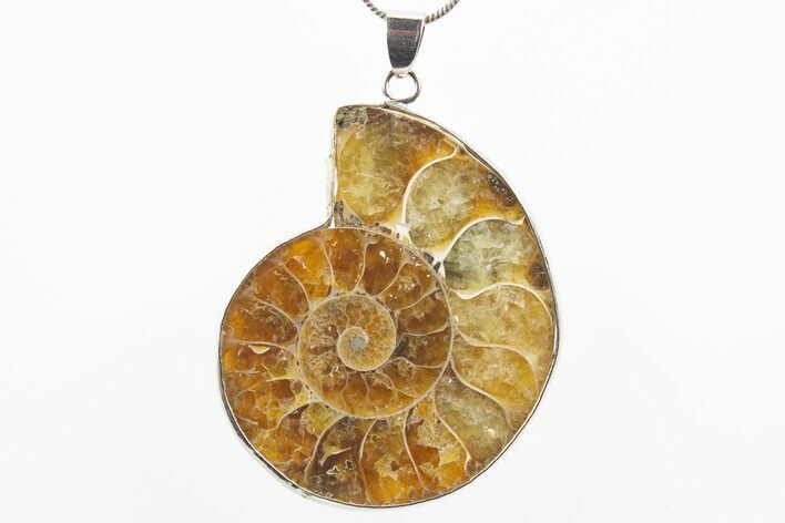 Fossil Ammonite Pendant - Million Years Old #306447